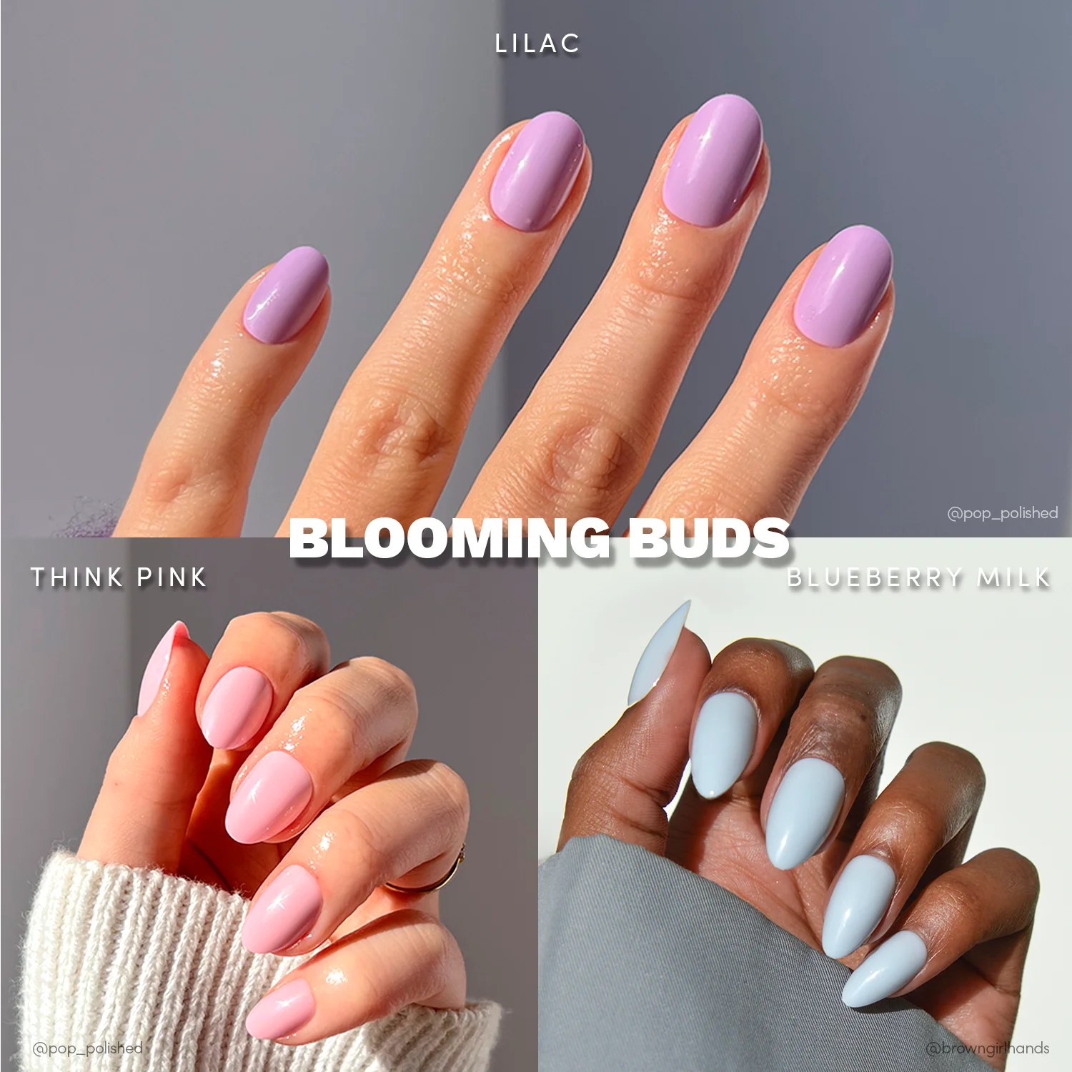 Blooming Buds - Image 2