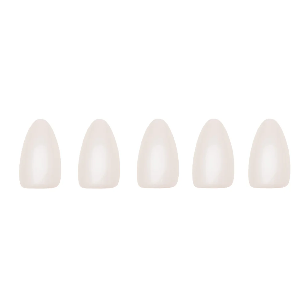 Hailey - Image 5