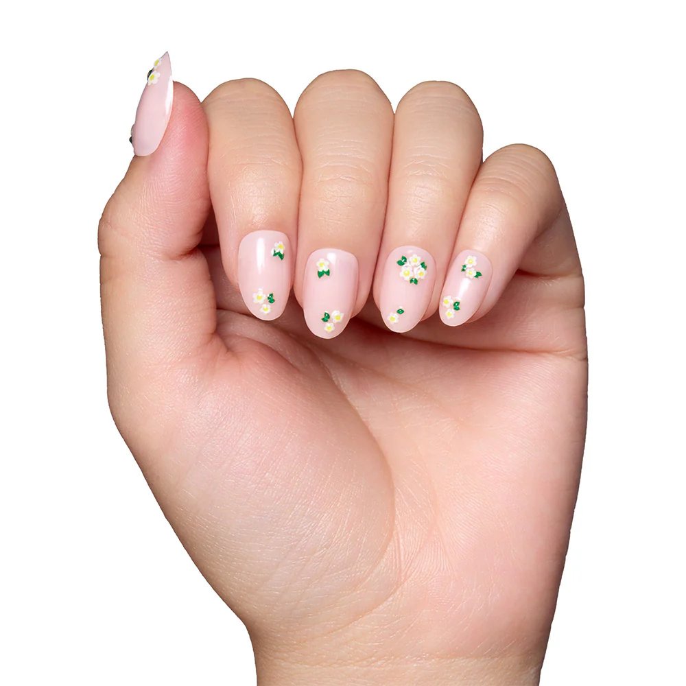 Petals - Image 5