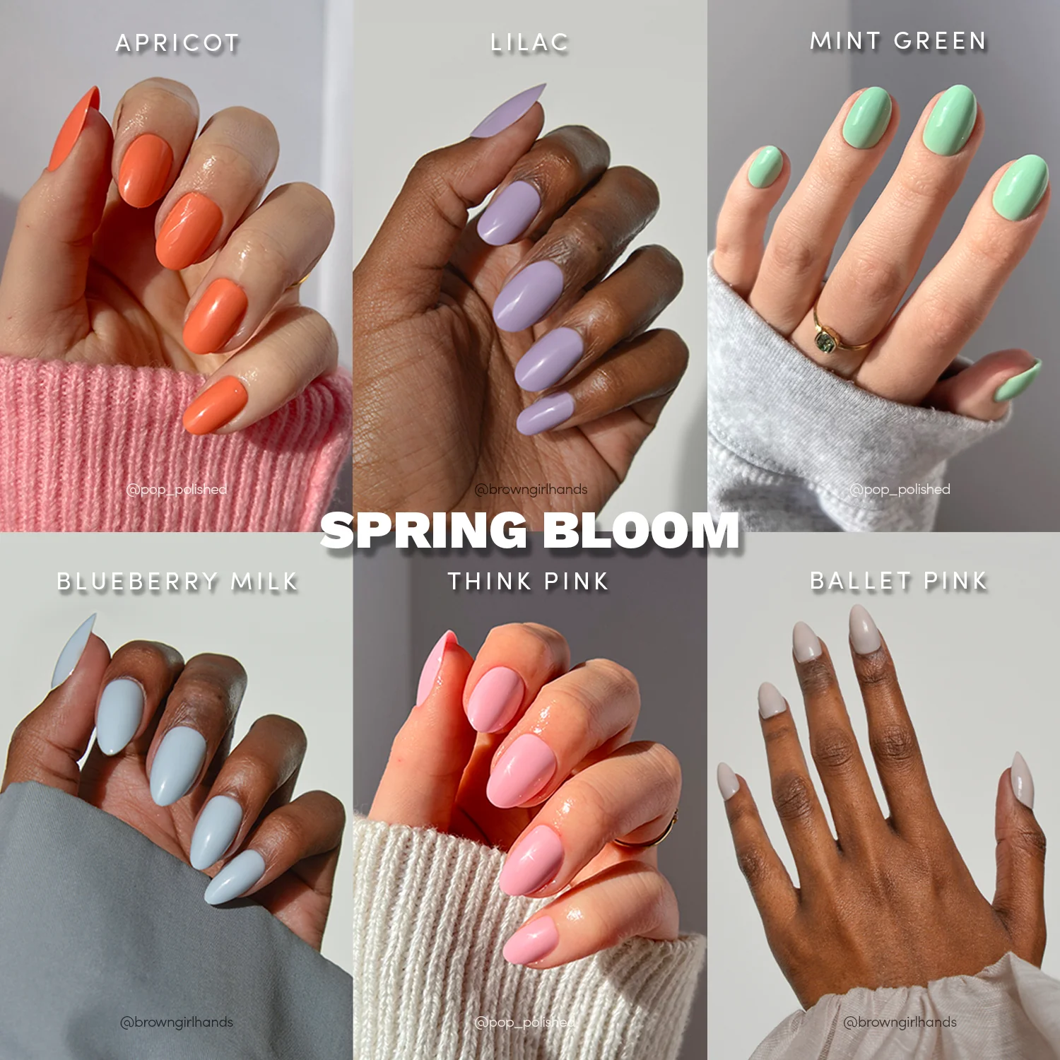 The Solids: Spring Bloom Collection - Image 2